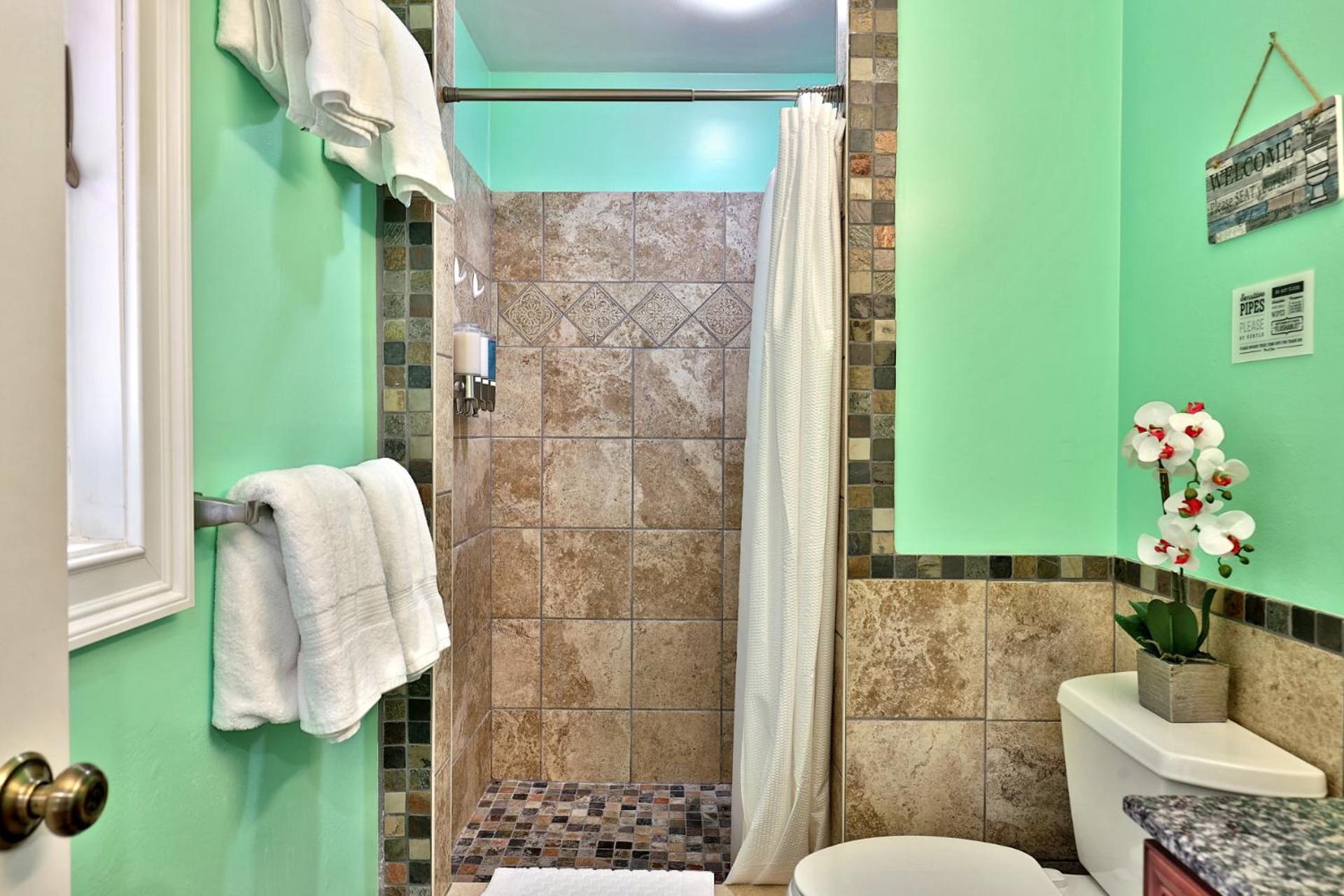 Fun In Fun Out Ski Home - 6 BR 4BA, Two Hot Tubs, Two Saunas, Two Levels, BBQ