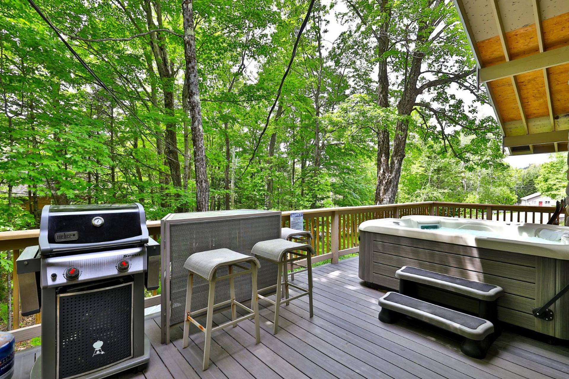 Fun In Fun Out Ski Home - 6 BR 4BA, Two Hot Tubs, Two Saunas, Two Levels, BBQ