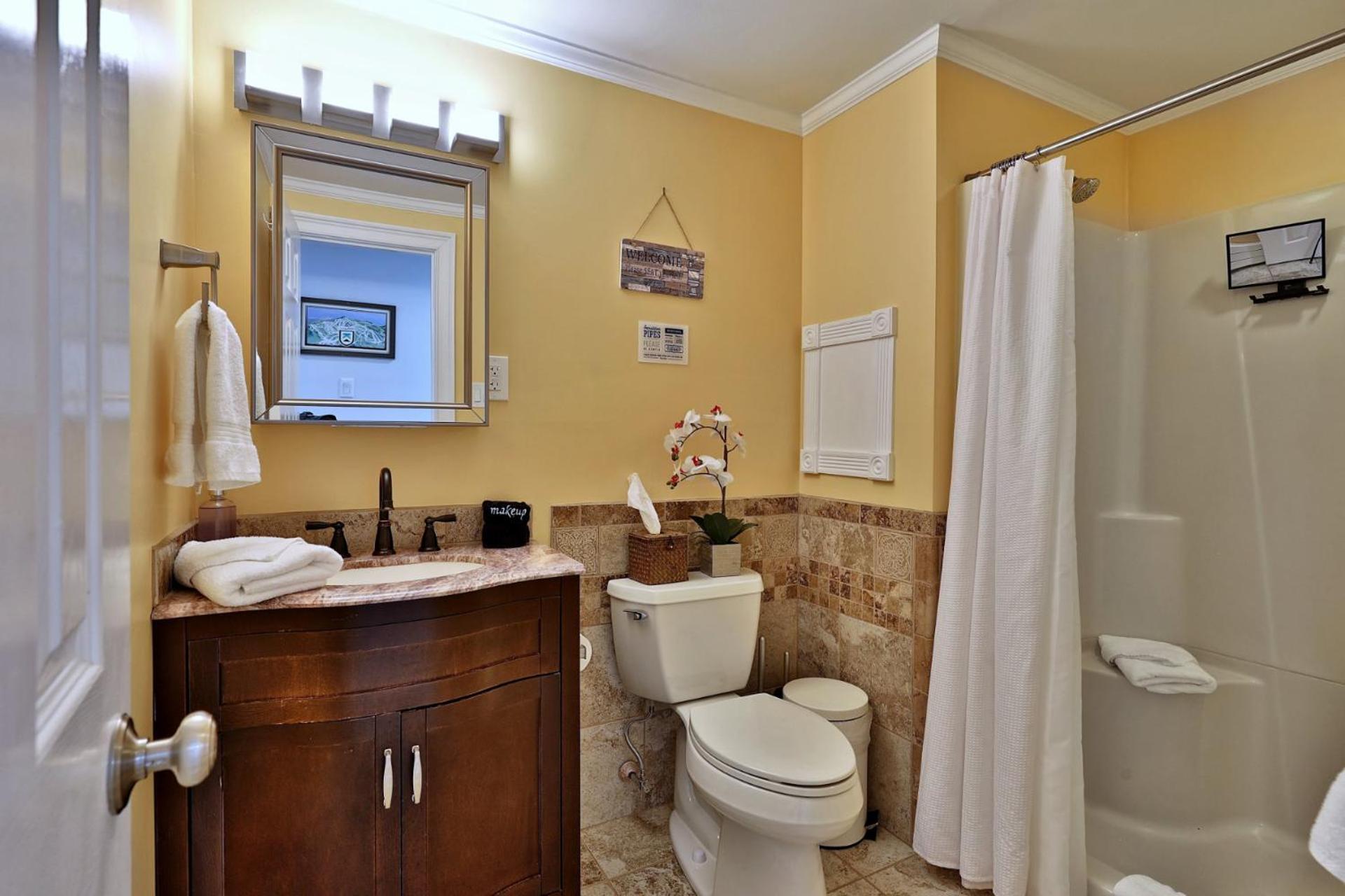Fun In Fun Out Ski Home - 6 BR 4BA, Two Hot Tubs, Two Saunas, Two Levels, BBQ