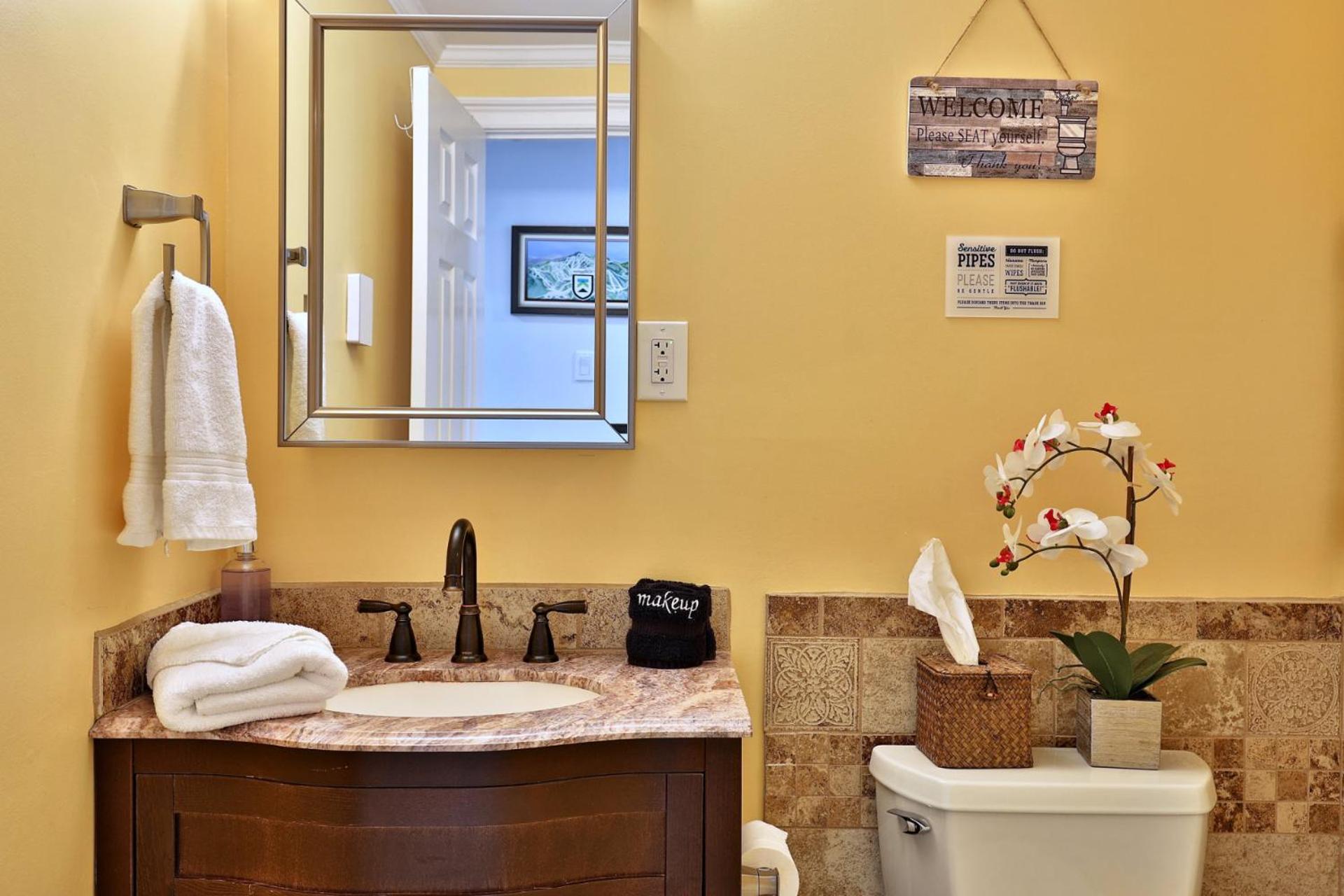 Fun In Fun Out Ski Home - 6 BR 4BA, Two Hot Tubs, Two Saunas, Two Levels, BBQ