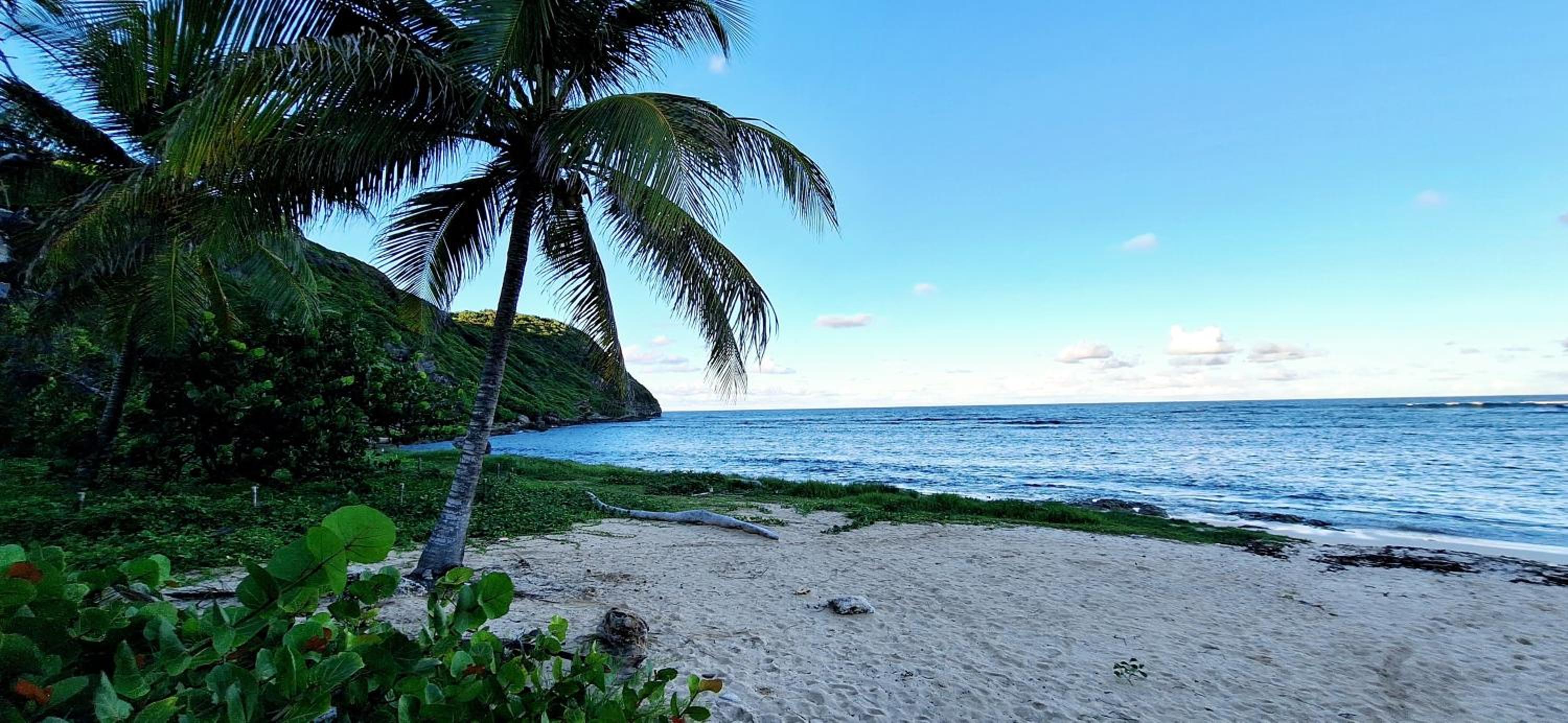 Anse Maurice Évasion