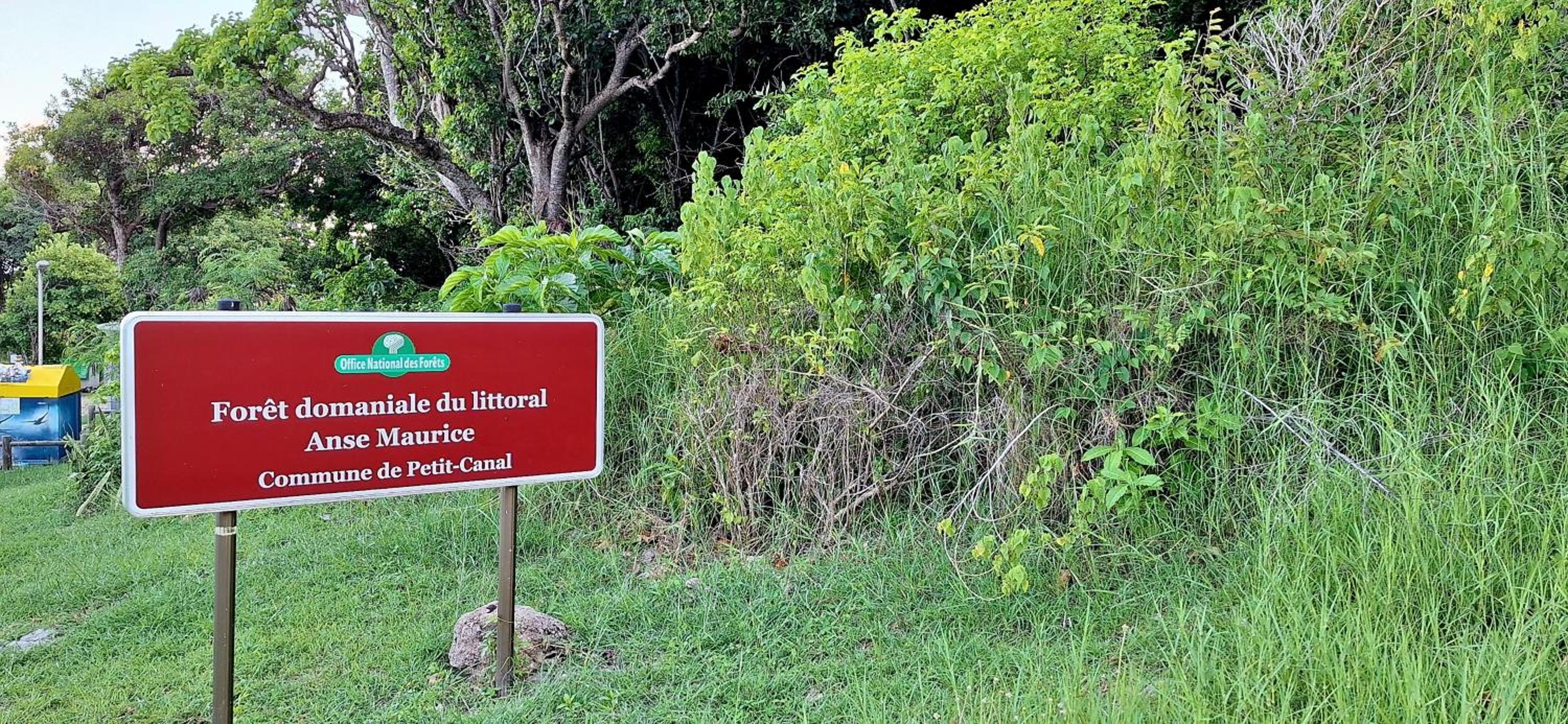 Anse Maurice Évasion