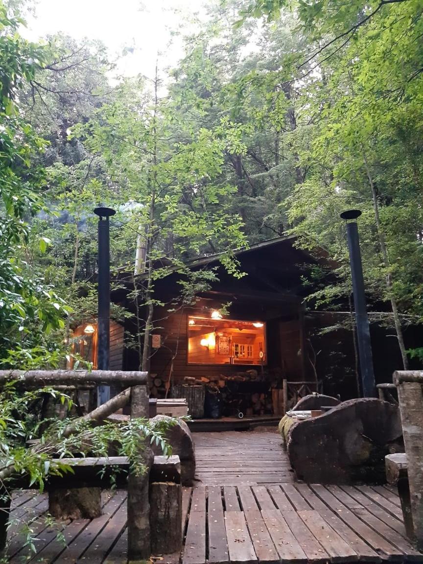 Linda Cabaña en Reserva HuiloHuilo
