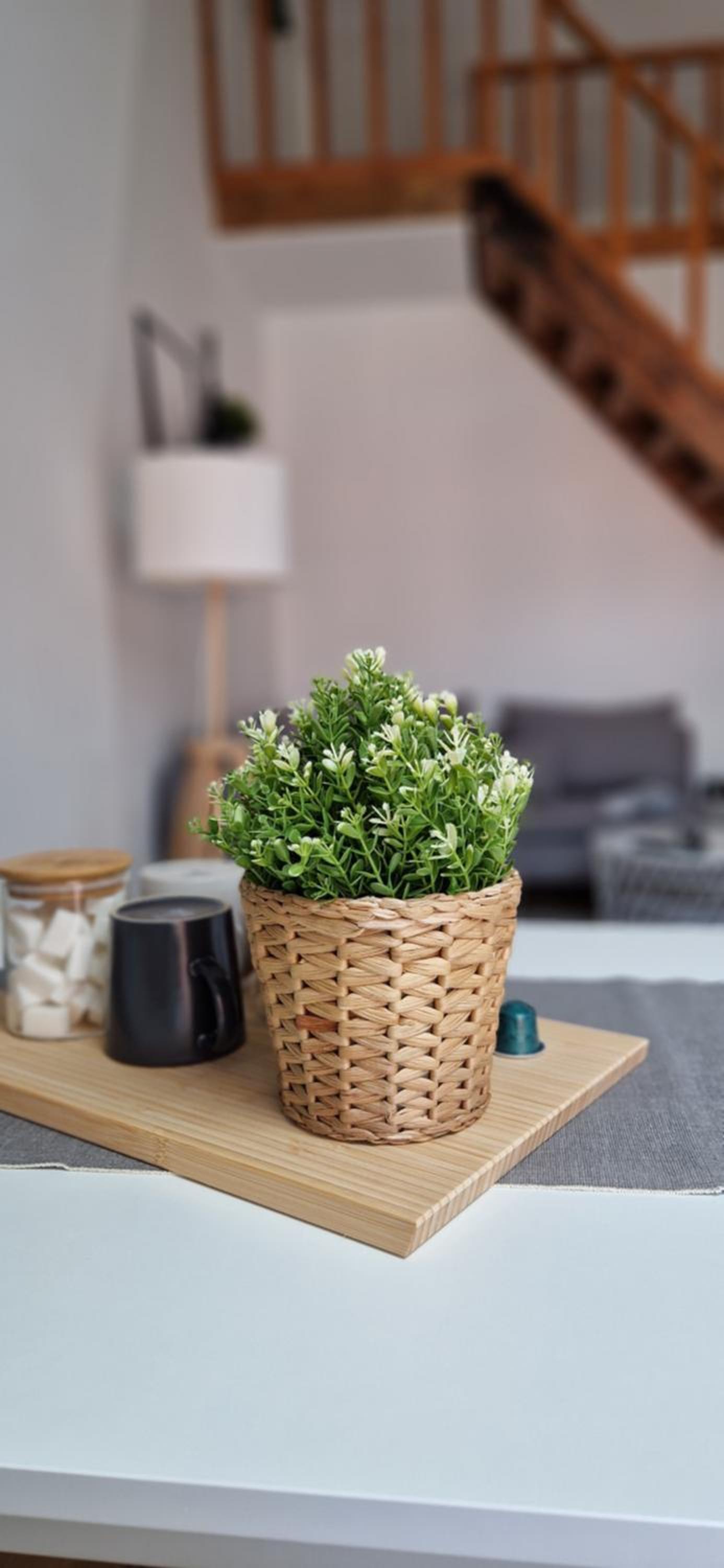 Charleroi Cozy Home