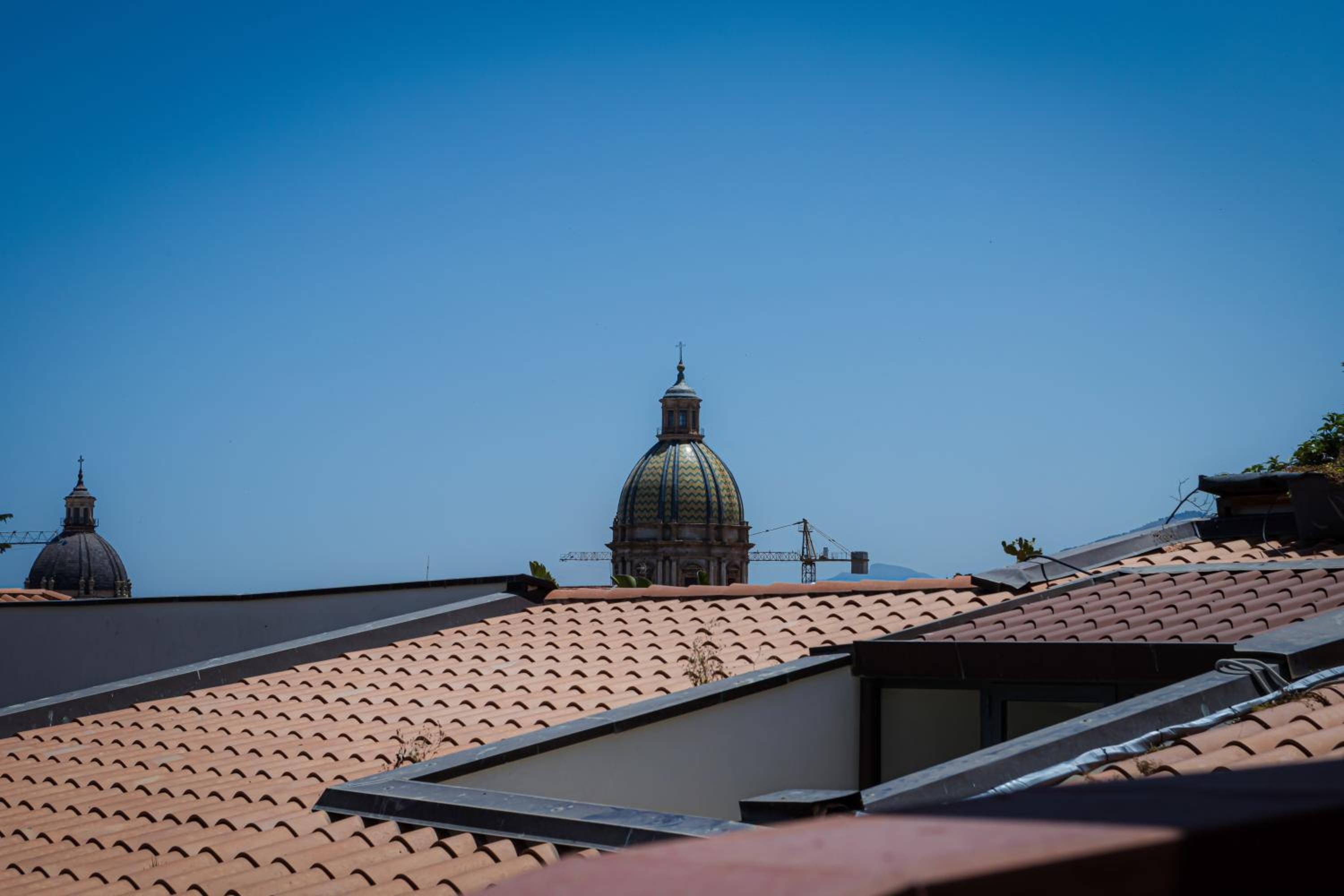 Vanda's Terrace photo 2