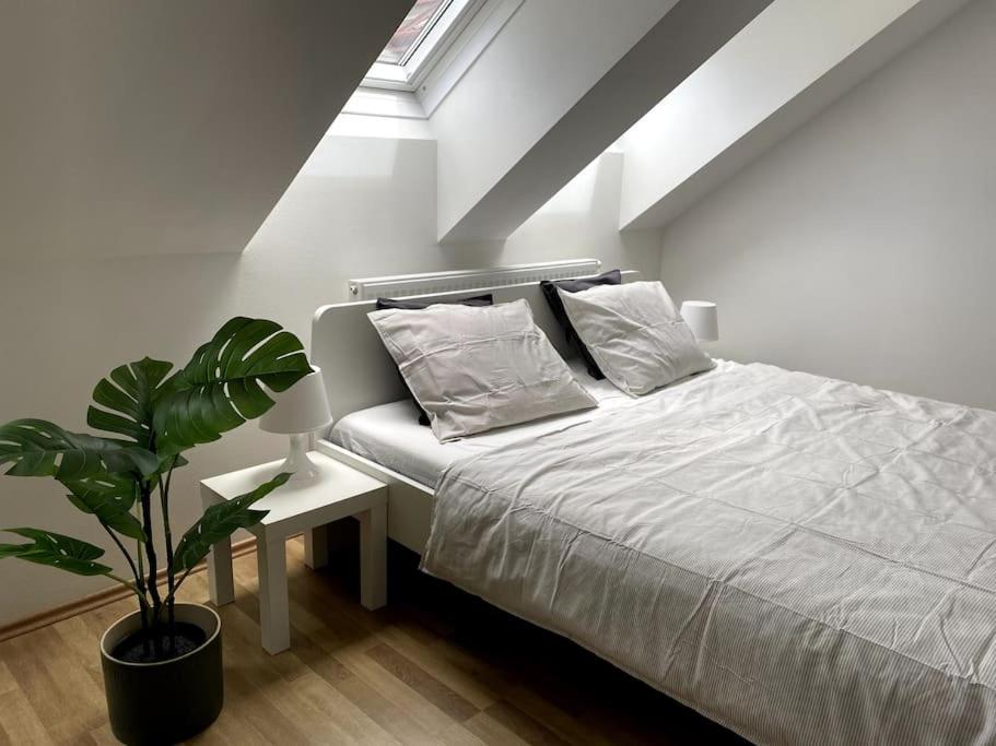 Schönes DG-Apartment mit Terrasse