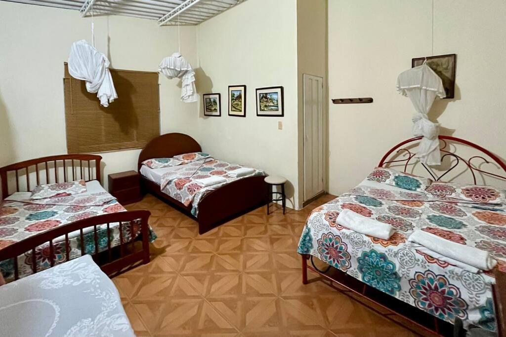 Finca Shaloom