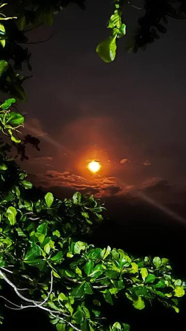 Finca Shaloom