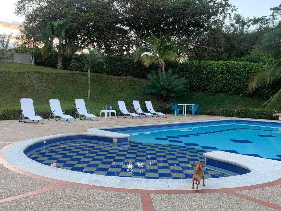 Finca Shaloom