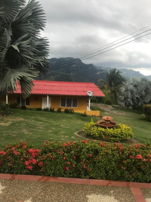 Finca Shaloom