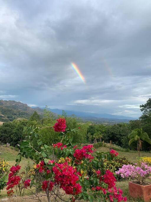 Finca Shaloom