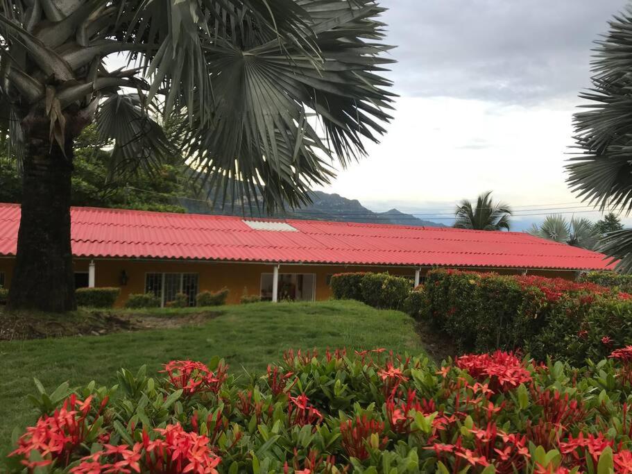 Finca Shaloom