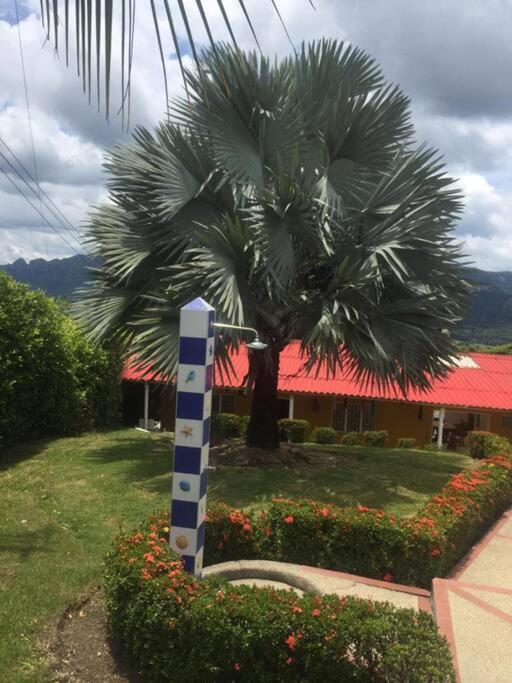Finca Shaloom