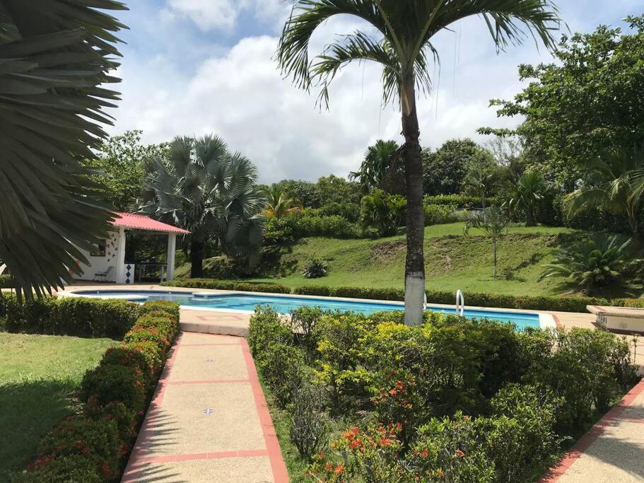 Finca Shaloom