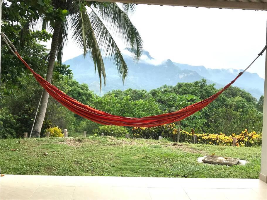 Finca Shaloom