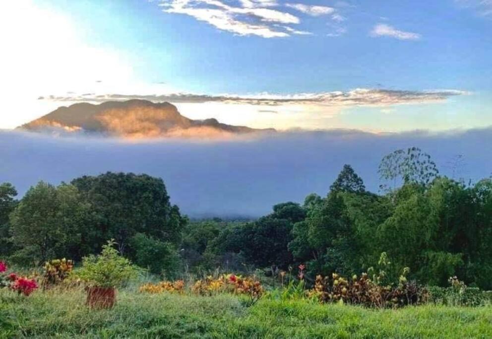 Finca Shaloom