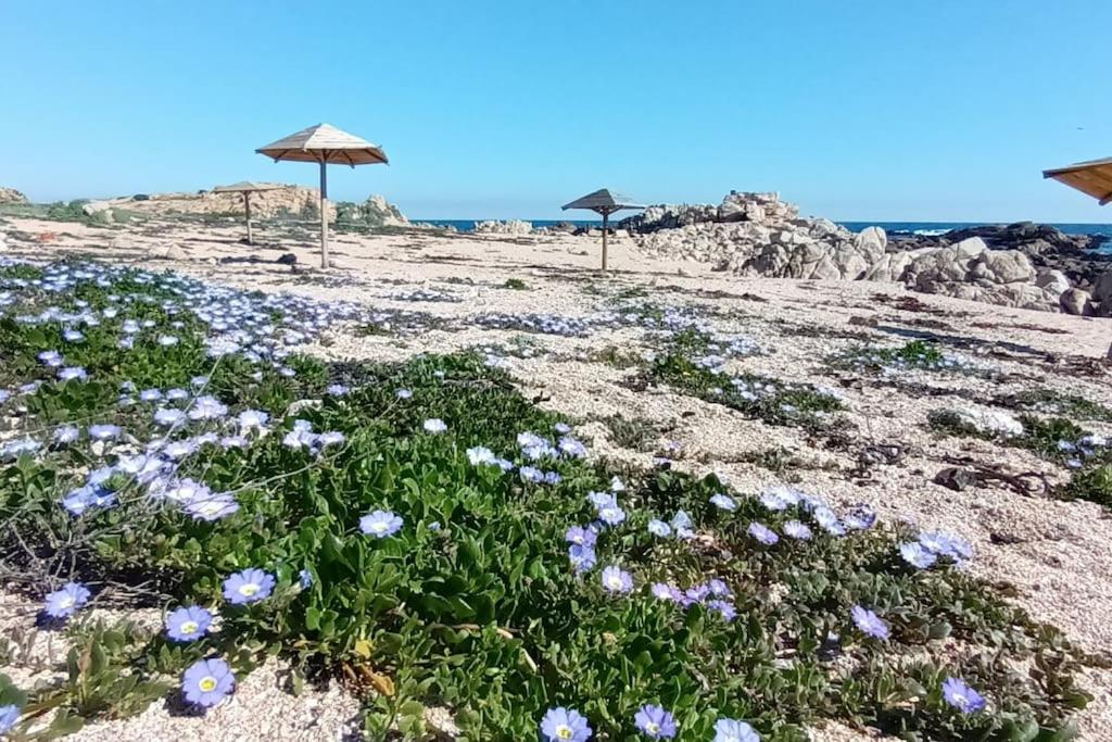 Acogedora casita a 5' de la playa en Tunquén