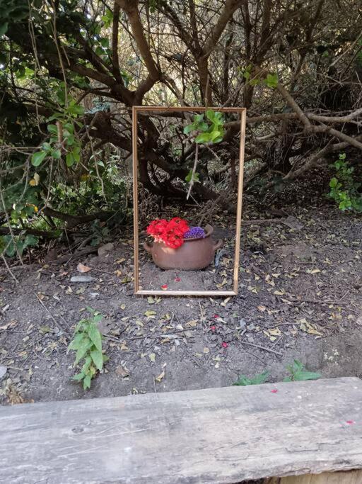 Acogedora casita a 5' de la playa en Tunquén