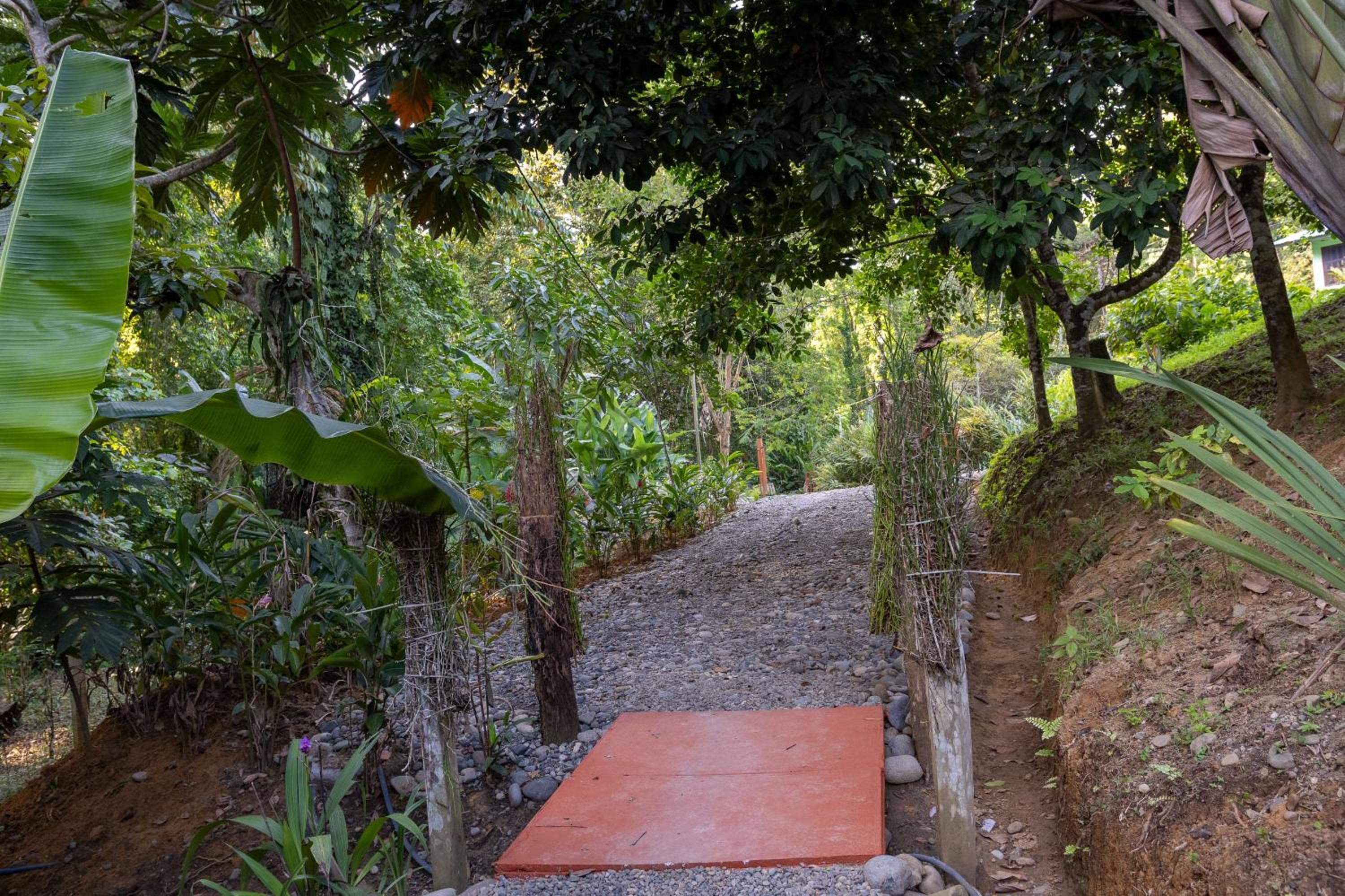 La Colmena