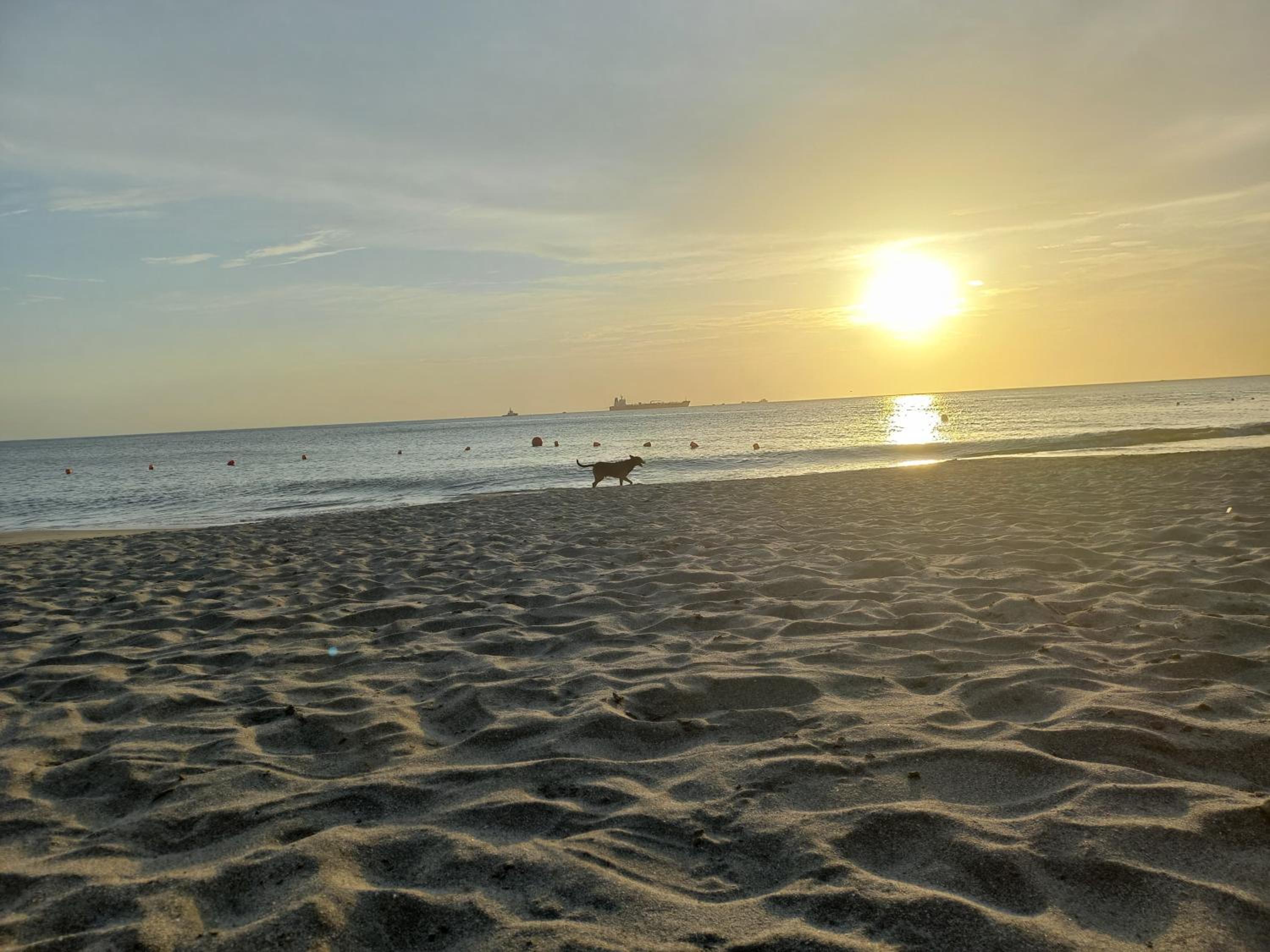 Playa y Relax comodidad junto al mar!