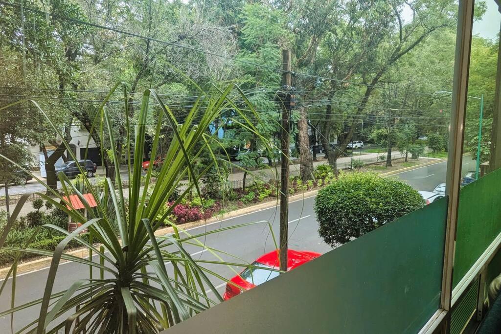 Real Condesa photo 3