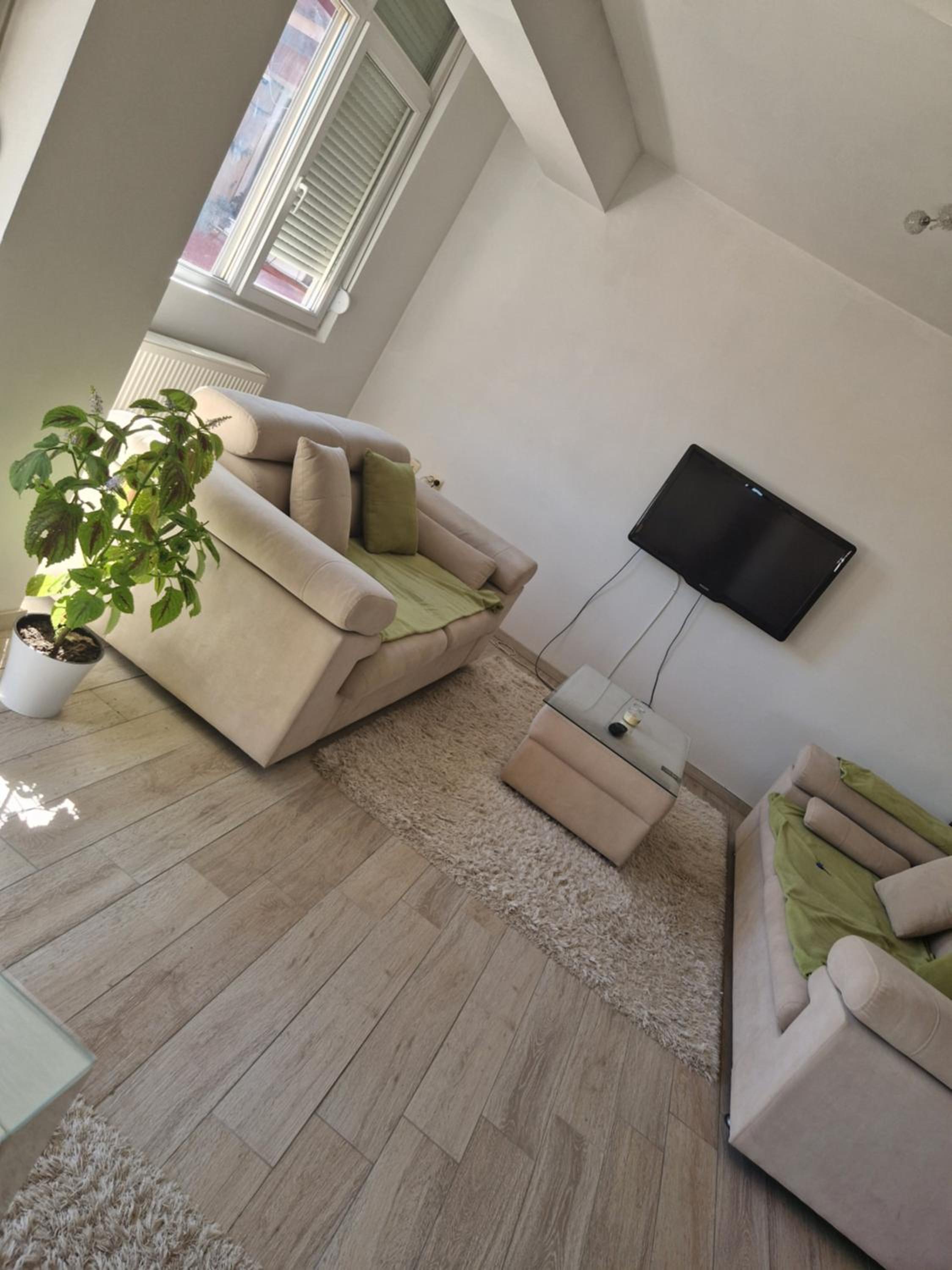 Rasadnik Apartment view 2