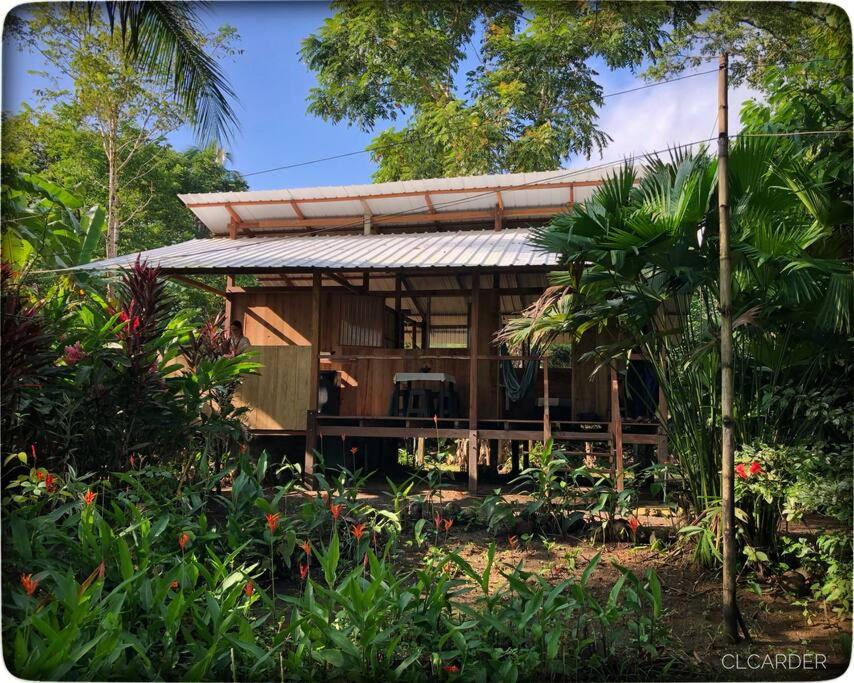 Cabaña Espavé - Arusí, Chocó