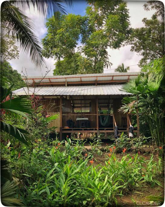 Cabaña Espavé - Arusí, Chocó