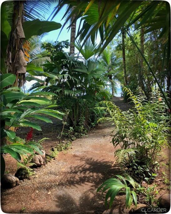 Cabaña Espavé - Arusí, Chocó