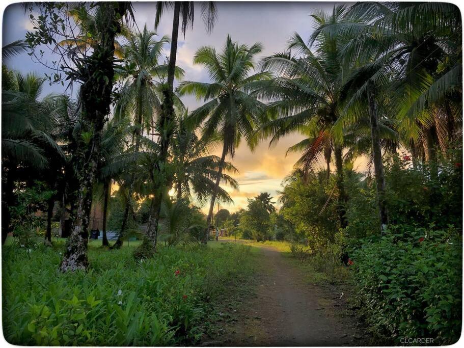 Cabaña Espavé - Arusí, Chocó