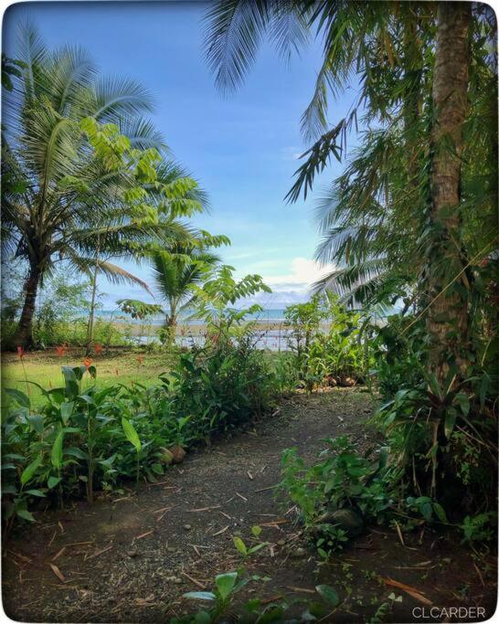 Cabaña Espavé - Arusí, Chocó