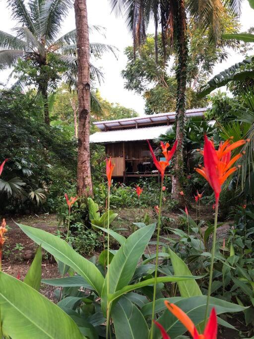 Cabaña Espavé - Arusí, Chocó