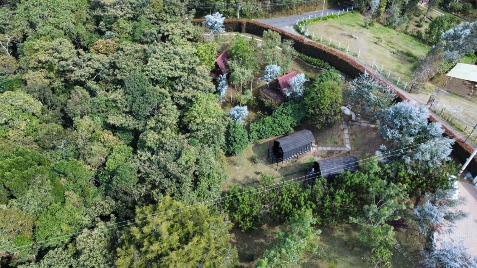 Chalets en Santa Elena en medio del Bosque