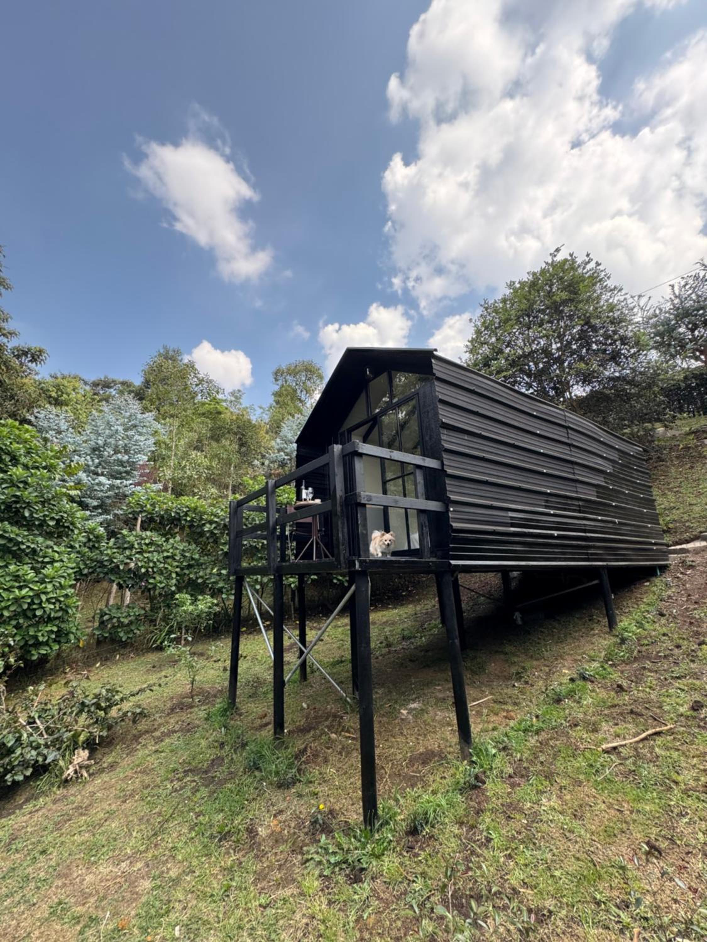 Chalets en Santa Elena en medio del Bosque