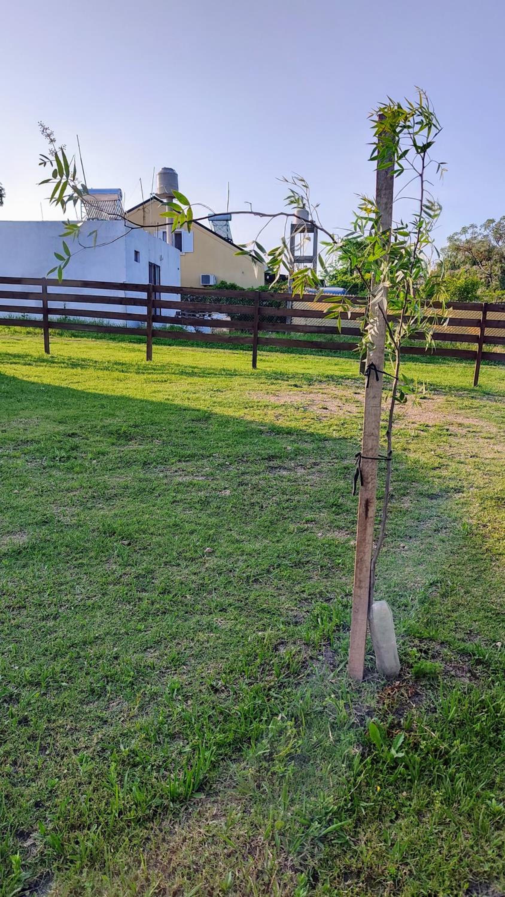 KUSI Casas de alquiler