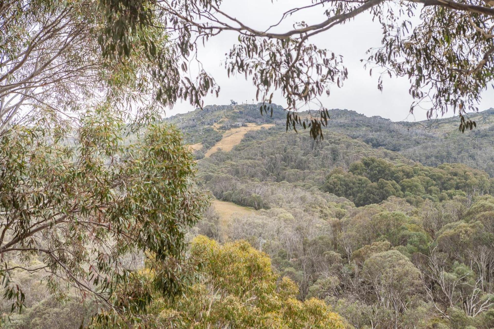 Inala 8 - Thredbo