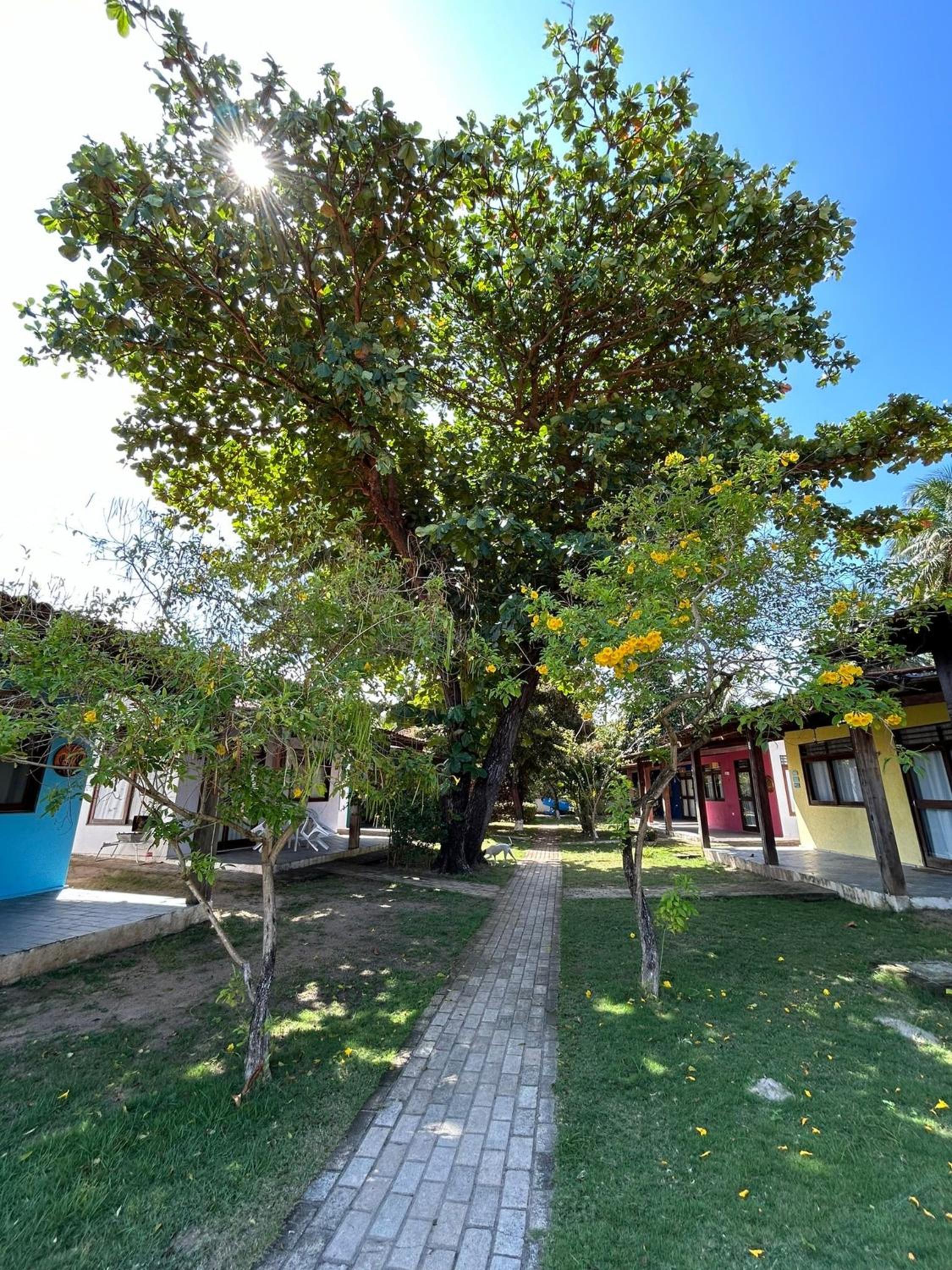 Photo 48