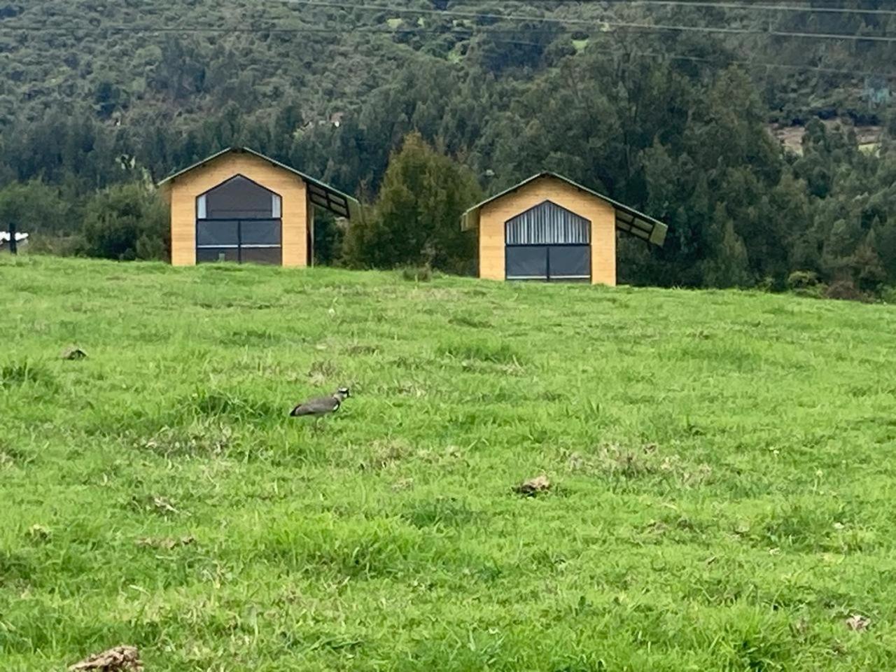 Tinys Solsticio, Tópaga Cabins