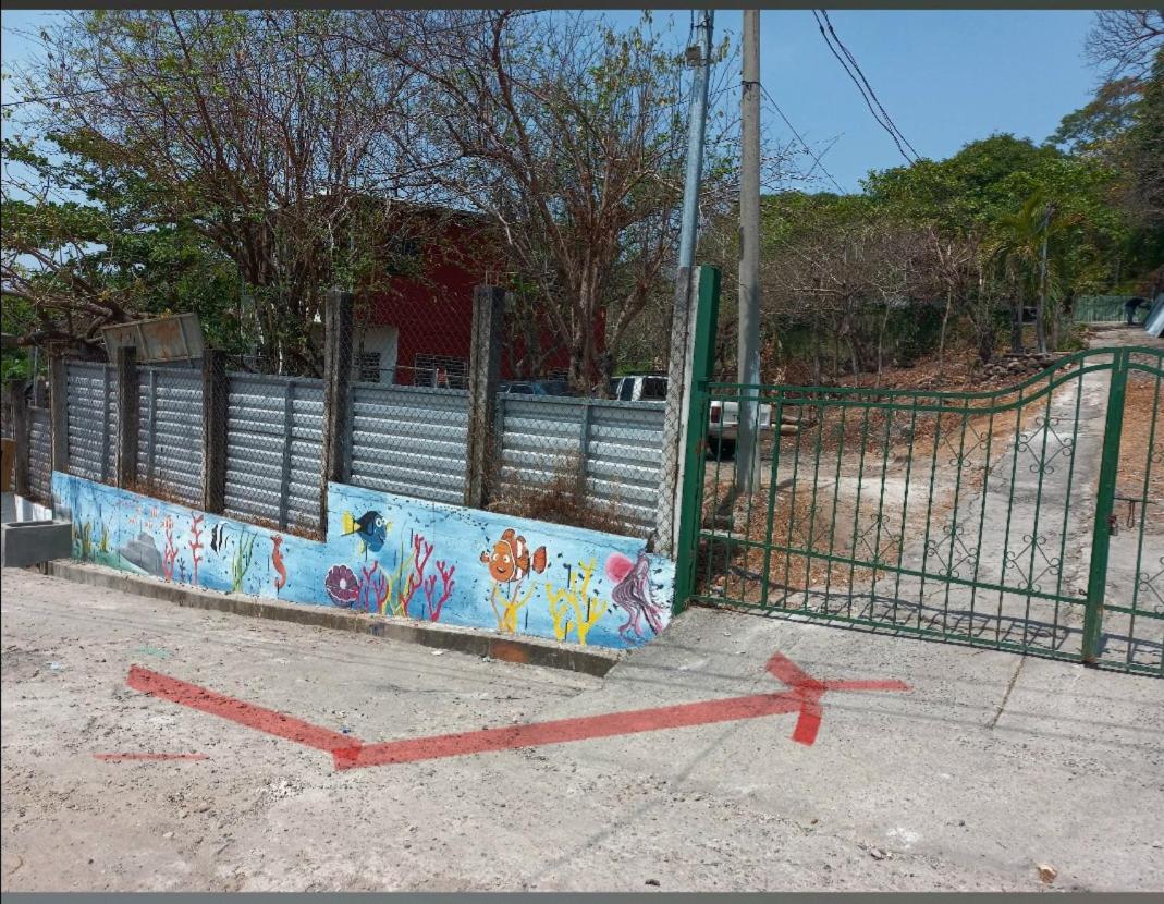 Photo 16