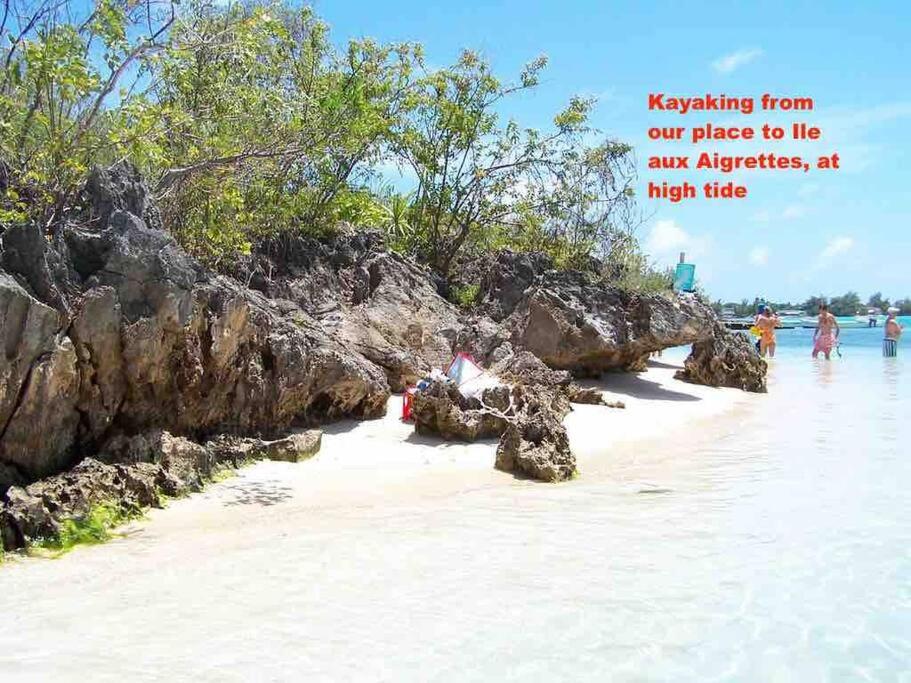 Photo 48