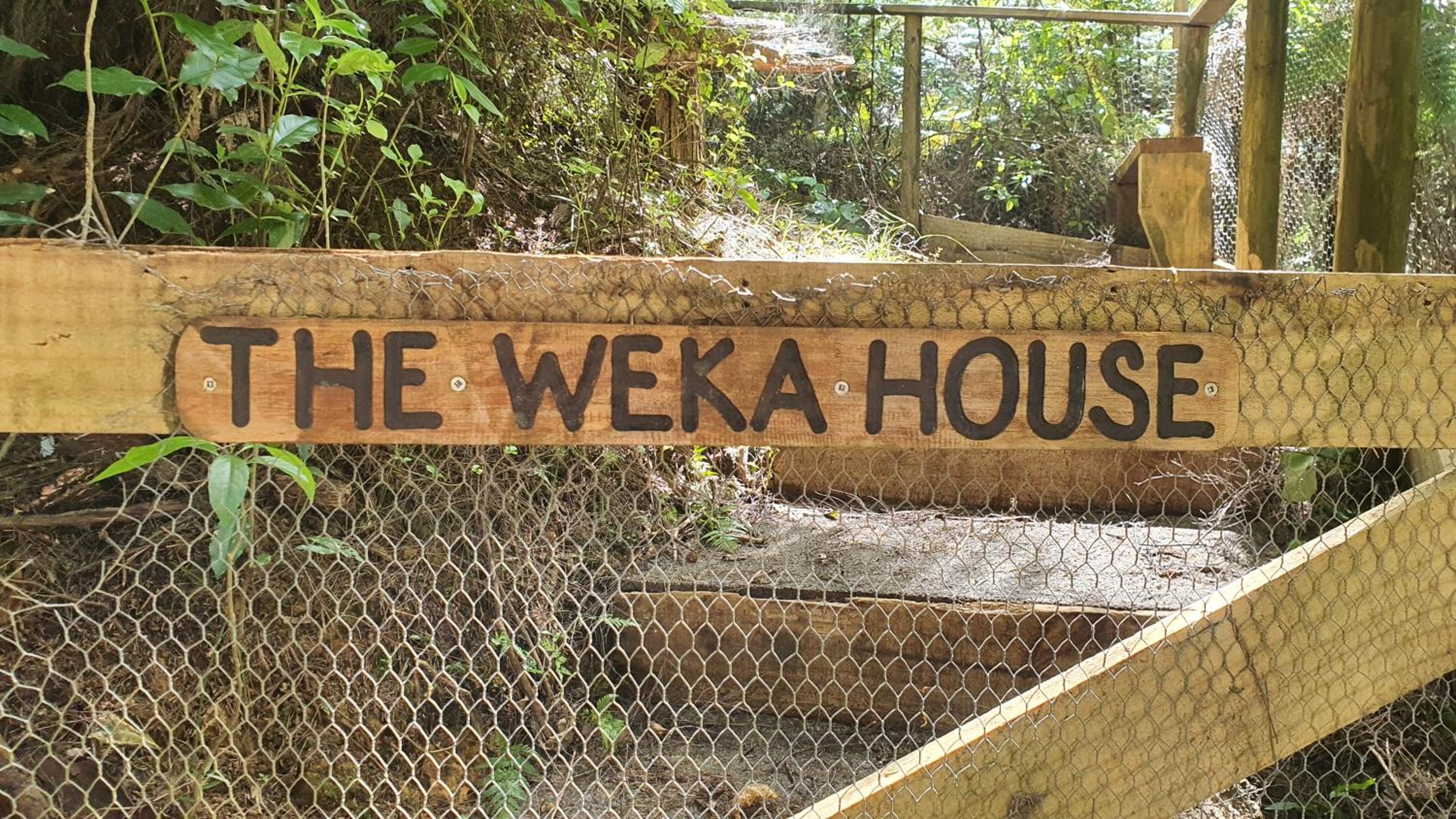 The Weka House - Kawau Island Holiday Home view 5
