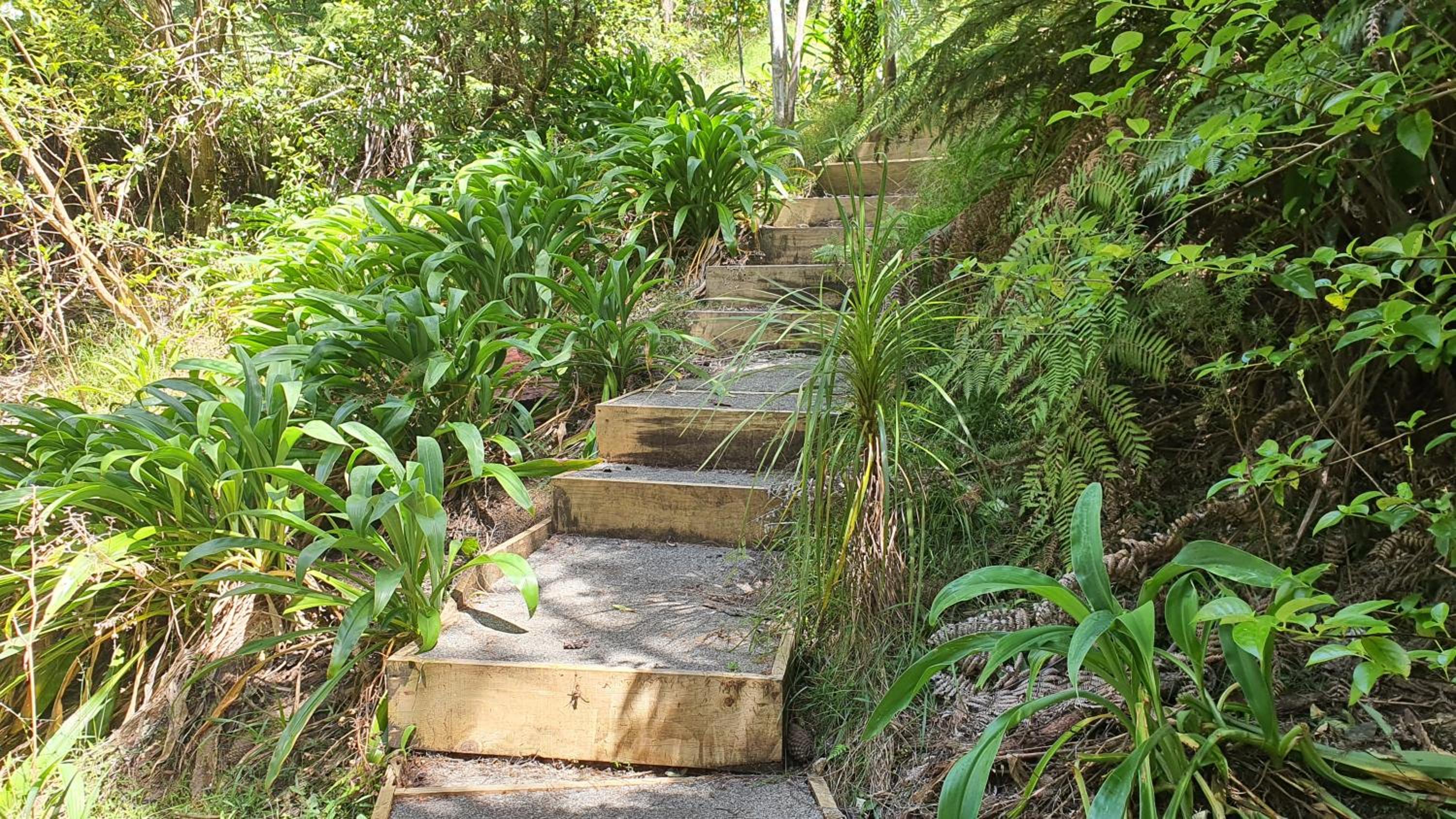The Weka House - Kawau Island Holiday Home view 3