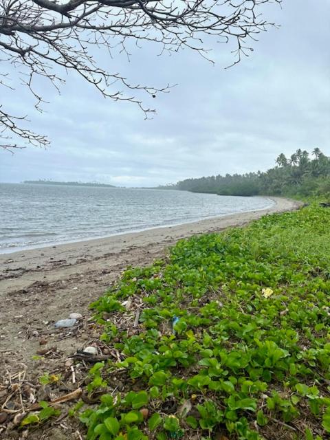 Cosy Farmstay Jasmeeruls Bayt Tuvurara, Savusavu
