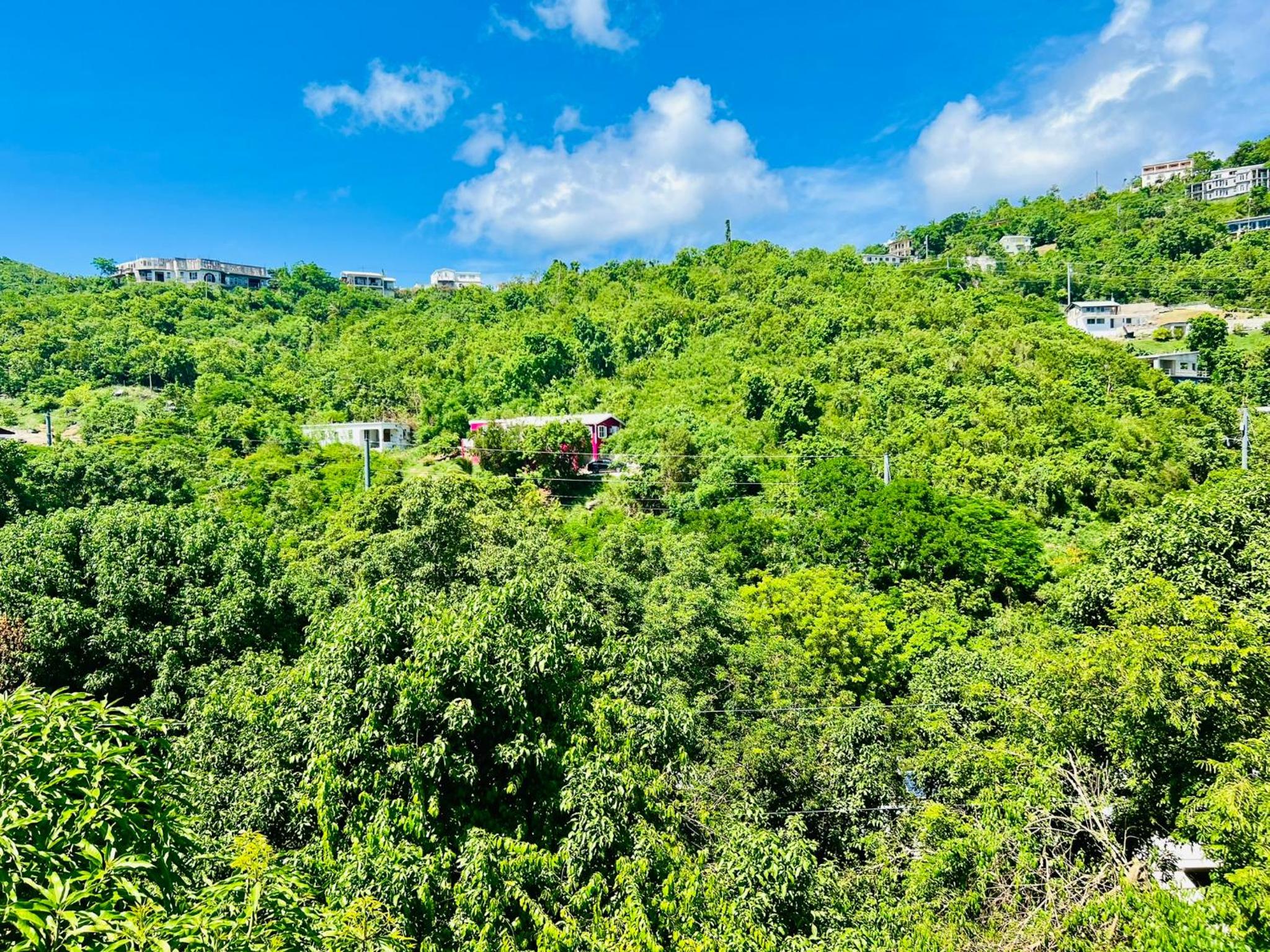 3-bedroom house with free SUV view 2