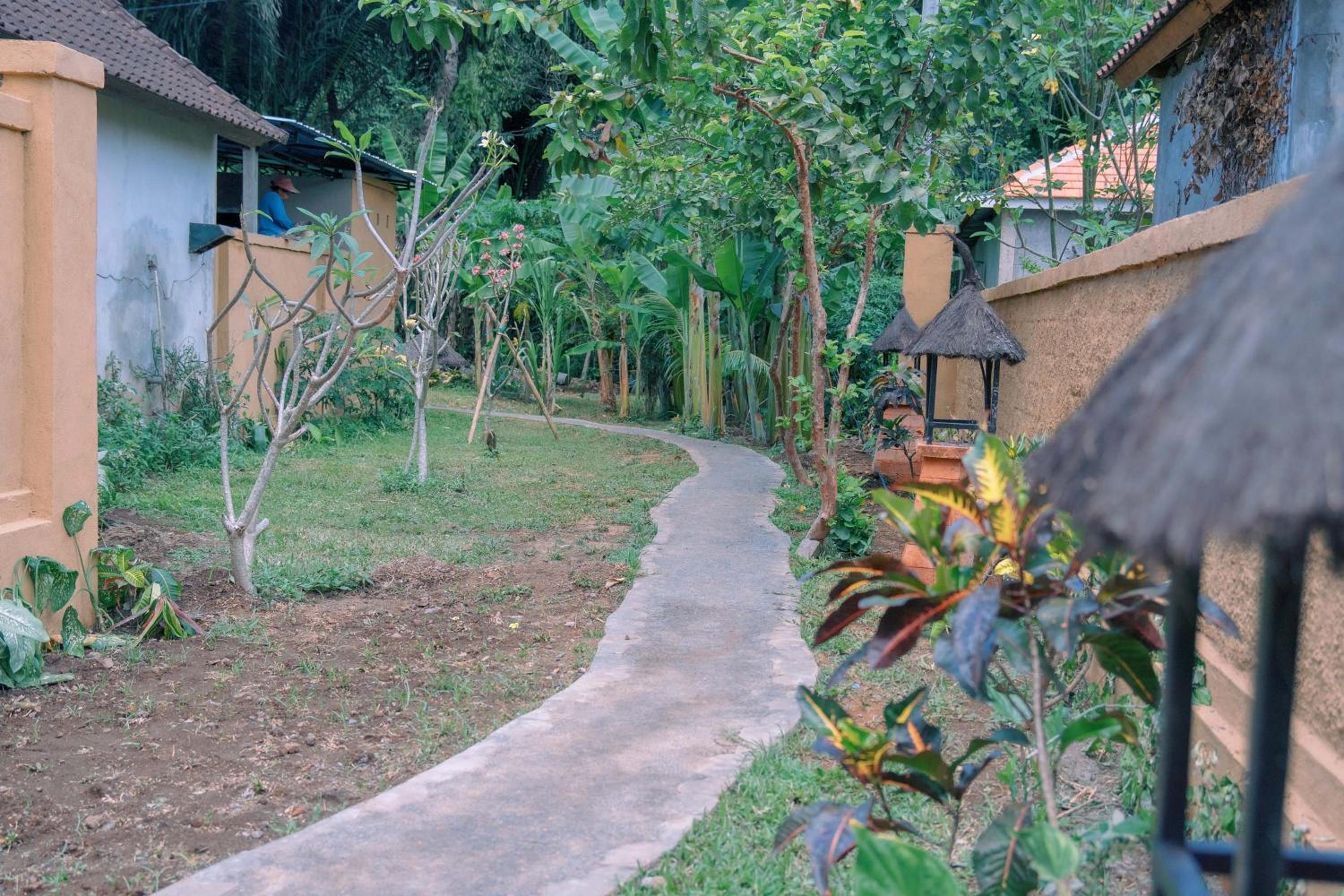 Photo 44