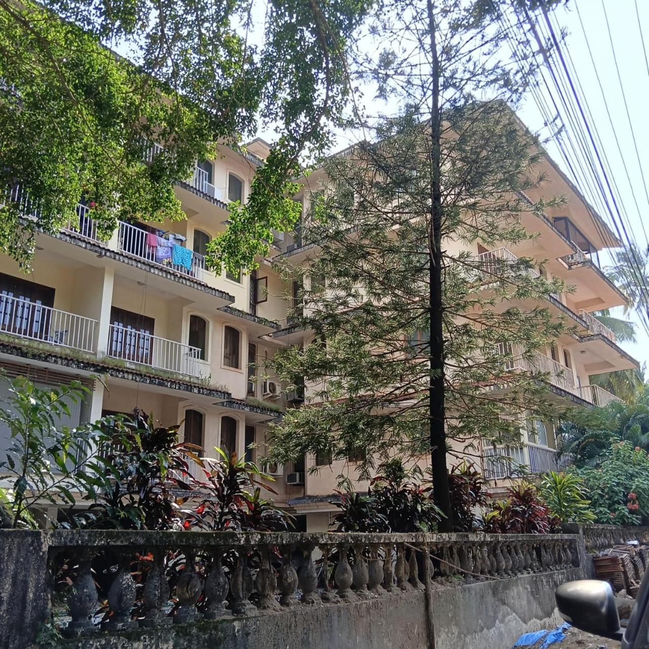 Haven's Rest Apartment view 3