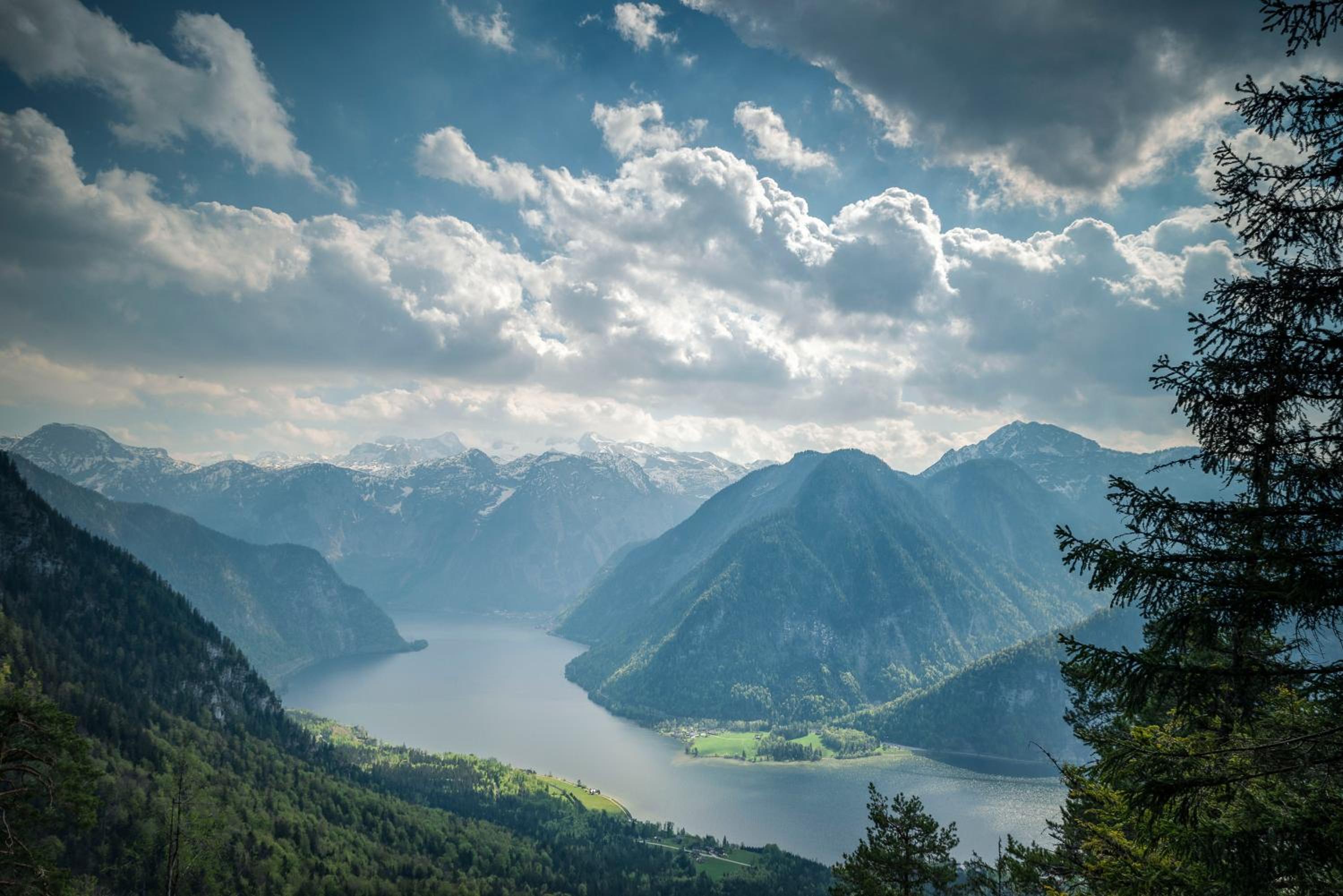 Metzgerwirt Vieh Heli