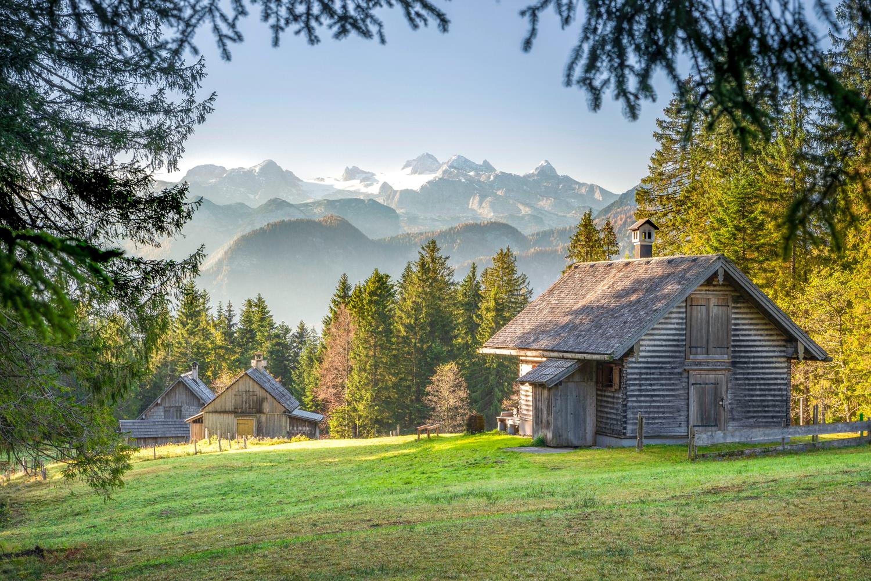 Metzgerwirt Vieh Heli