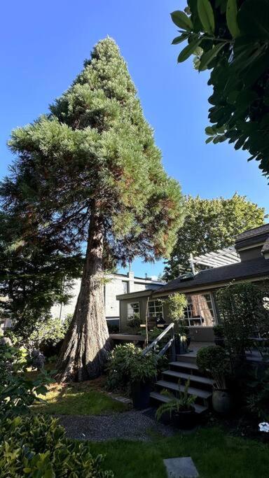 Sequoia House