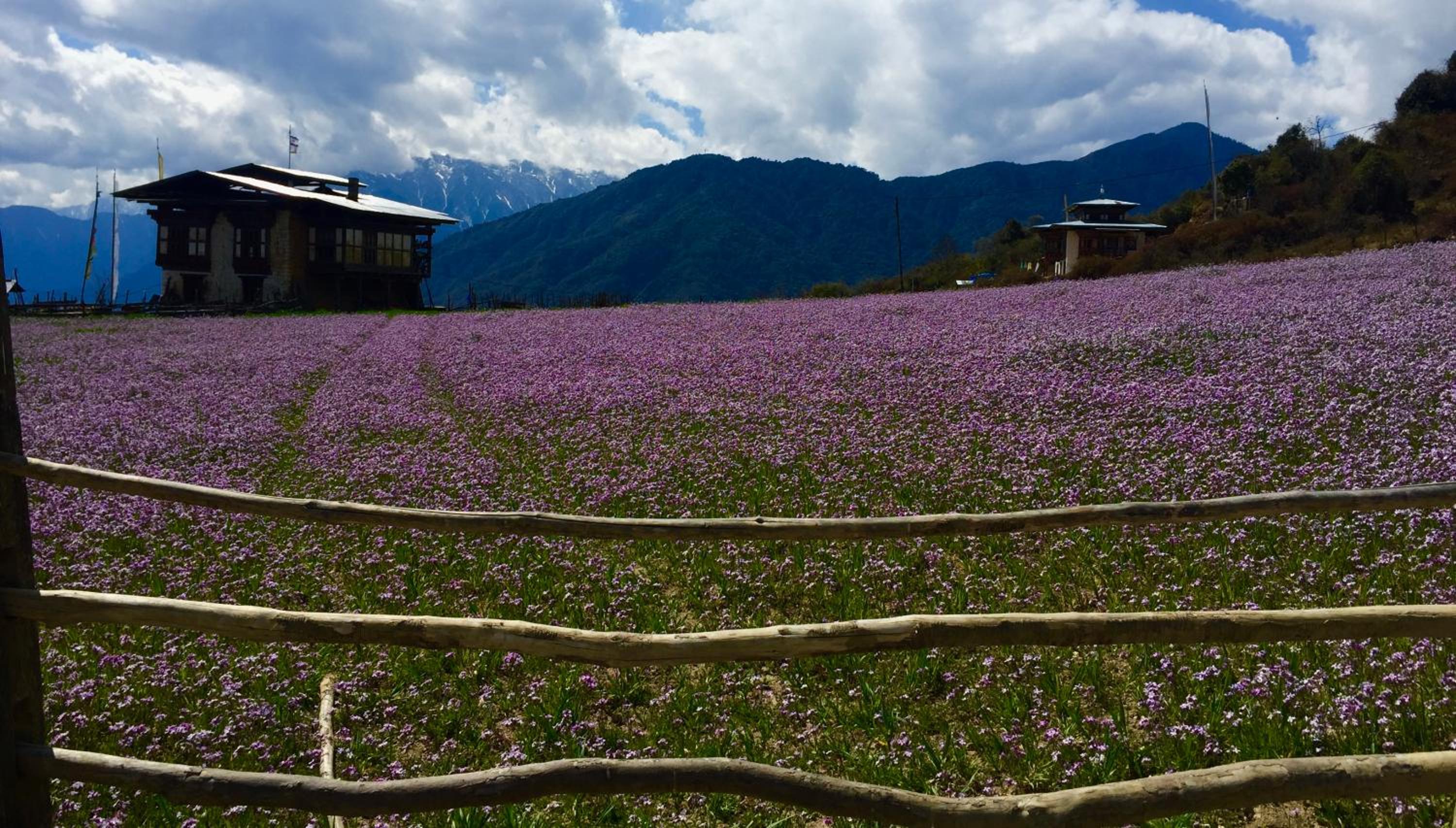 Willing Resort, Trongsa